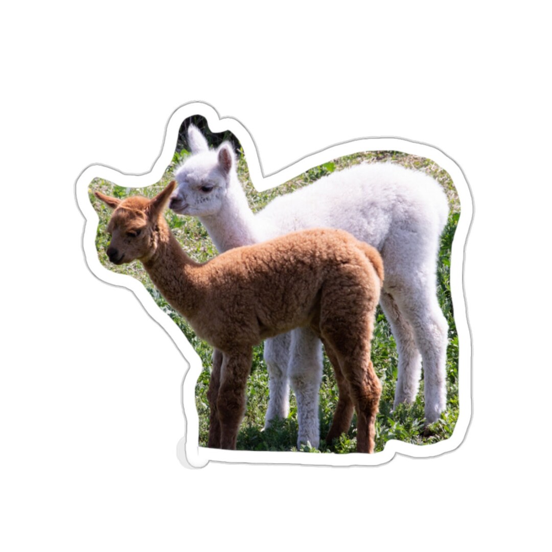 Alpaca Stickers: Glossy Vinyl Decor - Etsy