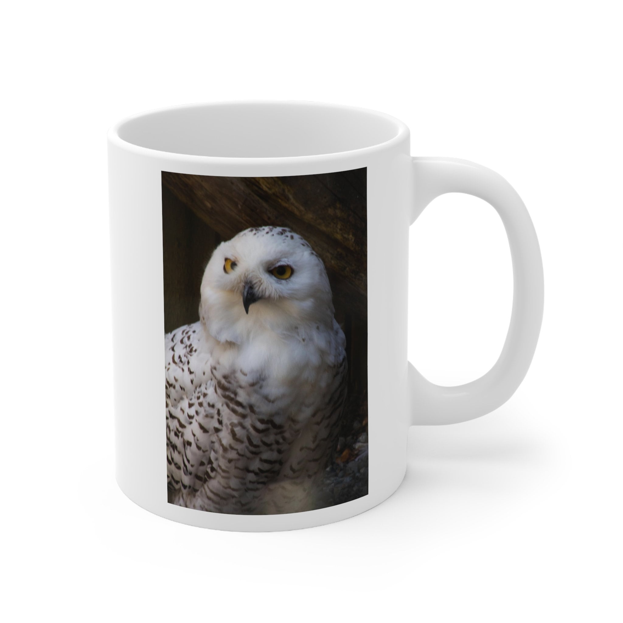 Owl Mug 11 oz