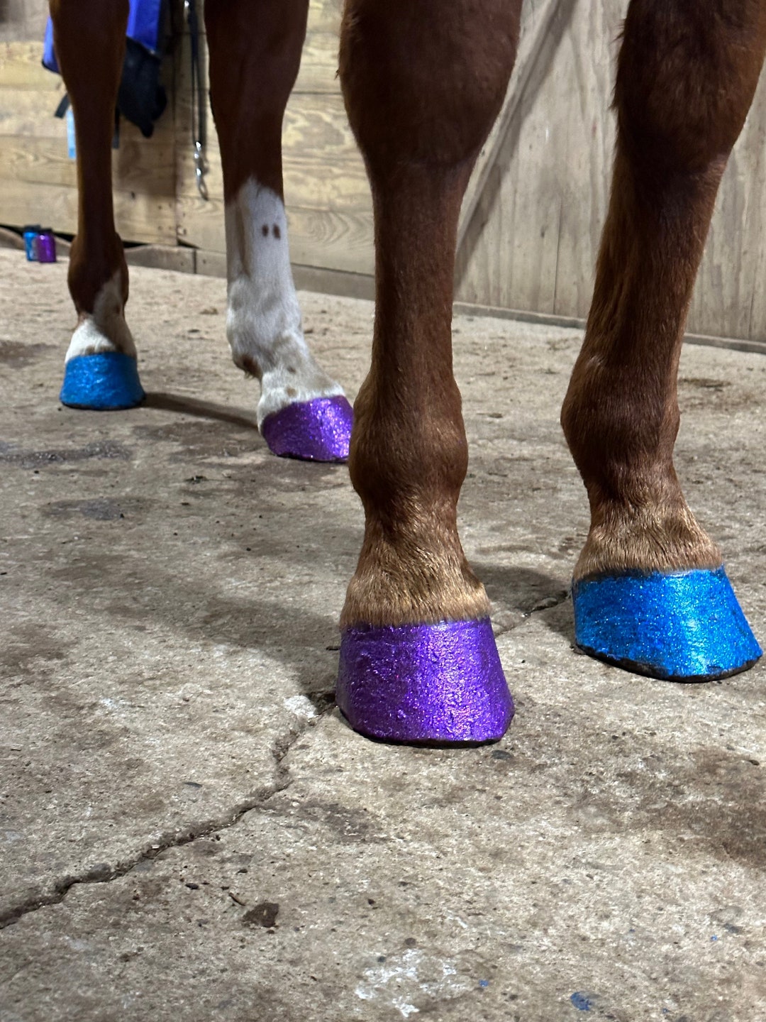 Glitter Hoof Polish Horse Nail Polish Custom Gift for Horse Lover