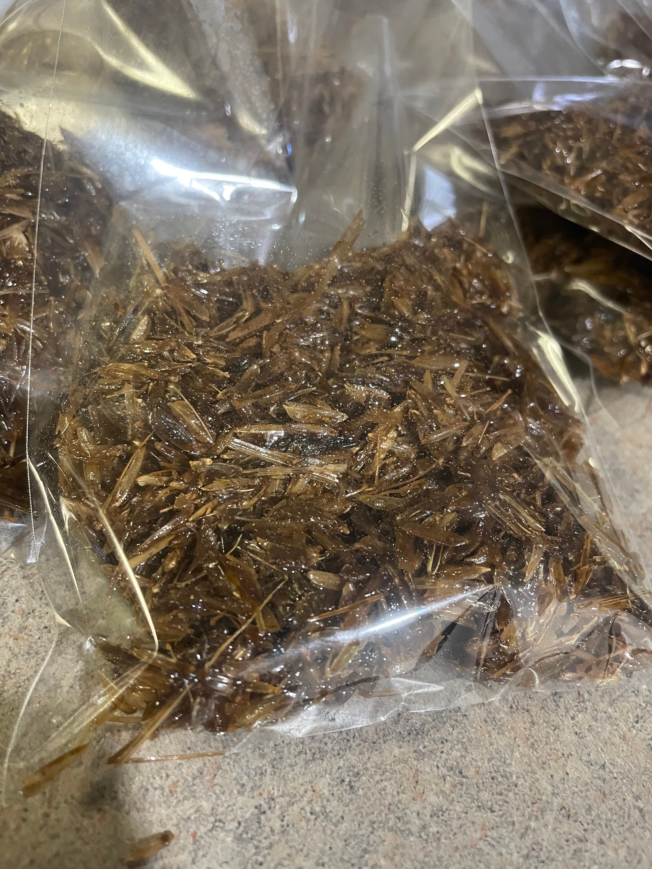 Cebu Waalo Incense Thiouraye Handmade Incense Incienso Etsy