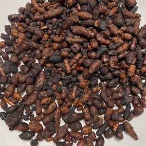 Diguidier incense - handmade incense - incienso - bukhuur - natural incense - african incense - thiouraye - purifying incense