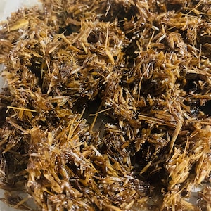 May include: A close-up of a pile of brown, dried, and slightly caramelized grass seeds. The seeds are arranged in a random pattern and appear to be coated in a sticky substance.