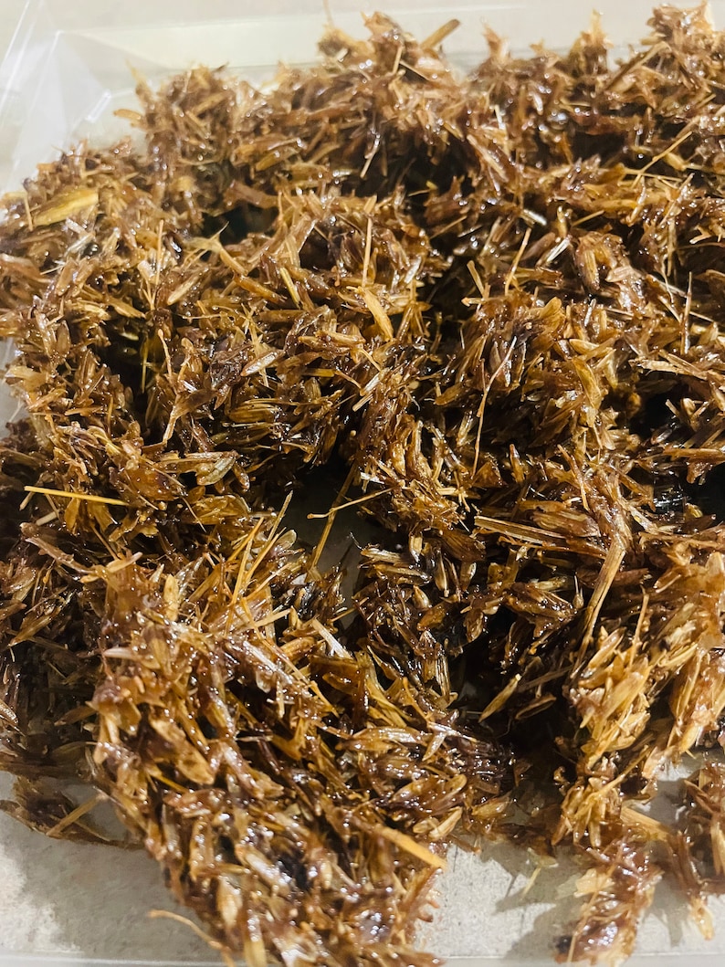 May include: A close-up of a pile of brown, dried, and slightly caramelized grass seeds. The seeds are arranged in a random pattern and appear to be coated in a sticky substance.