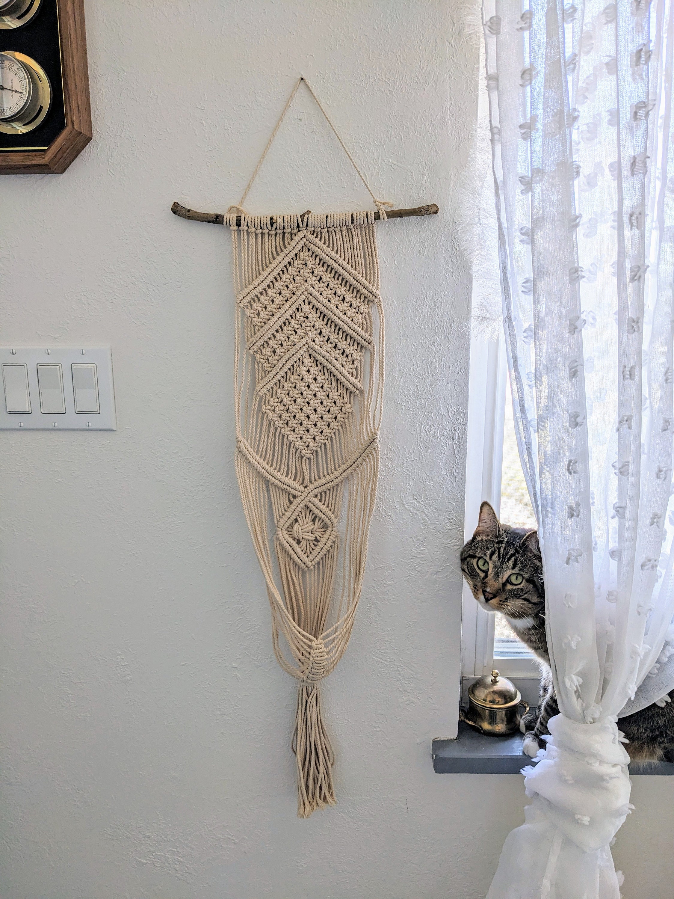 View of Beautiful Macrame Wall Hanger Plant Holder - Etsy