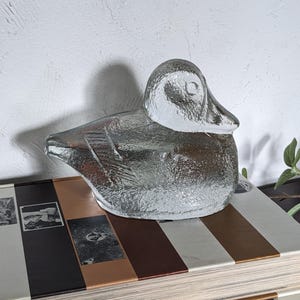 Puede incluir: Una figurita de pato de vidrio transparente con una superficie texturizada. El pato está sentado sobre una pila de libros con cubiertas rayadas.