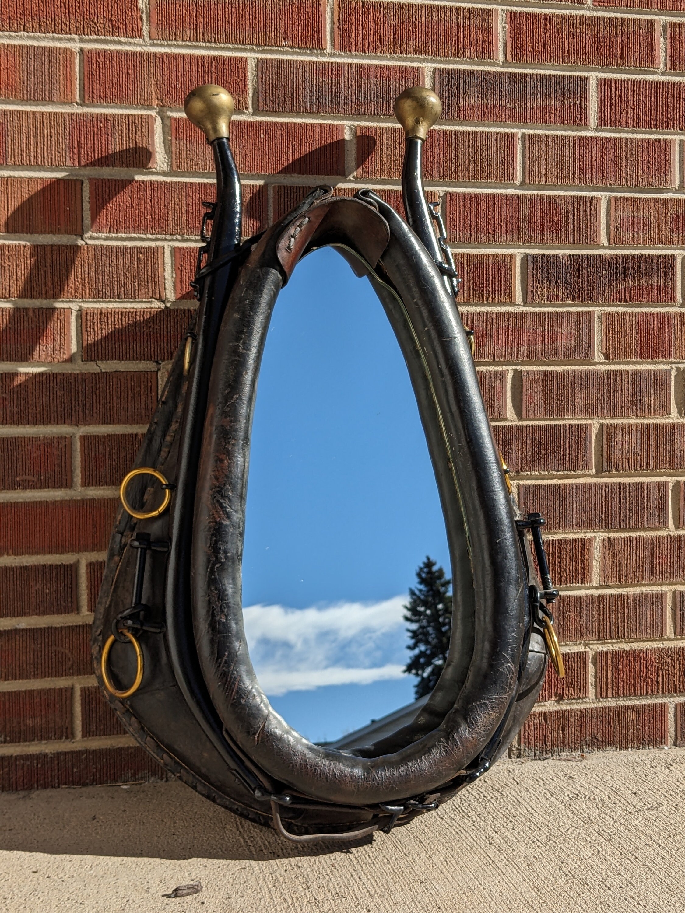 18+ Mirror With Horse Design