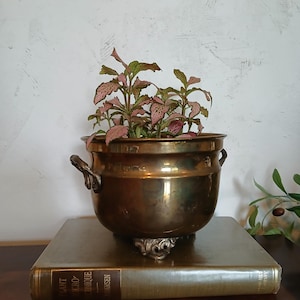 May include: A brass planter with two side handles and three ornate feet, containing a plant with pink and green variegated leaves. The planter rests on a thick book titled Plant Microtechnique by Johansen.