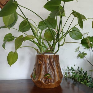 Puede incluir: Una maceta de cerámica marrón con forma de tocón de árbol y detalles en relieve de setas y hojas. La maceta tiene una base ancha y una parte superior estrecha, y contiene una planta verde con hojas en forma de corazón que crecen hacia arriba.