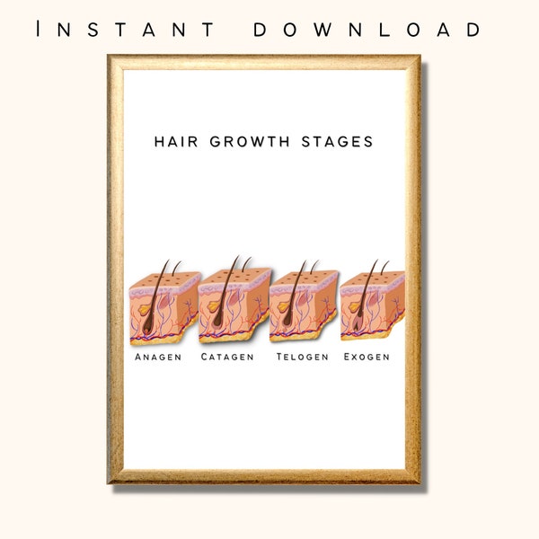 Hair growth Poster | Esthetician Decor | aesthetic nurse | doctors gift | hair anatomy poster | medical gift | nurse gift