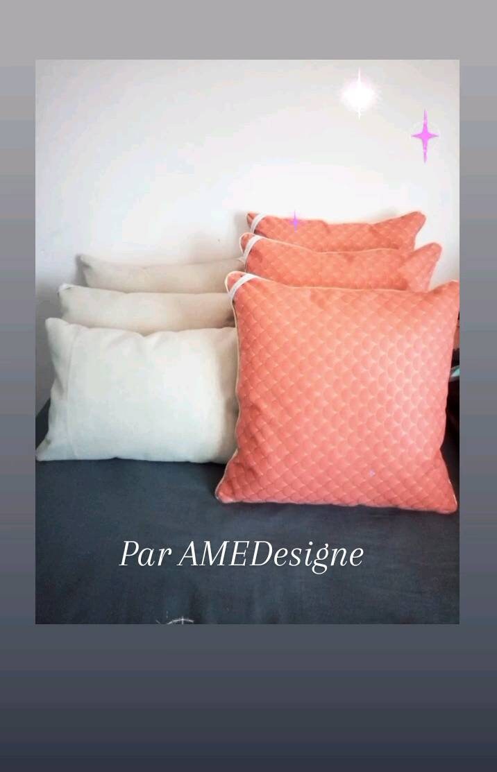 Lot de 2 Coussins Canapés et Housses Inclus. en Coton