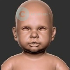 Baby Sculpture - COA  Silicone Art