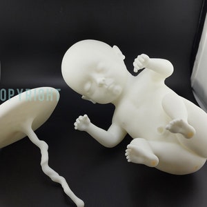 Fetus OR Newborn Resin Sculpture An Original Art Design 38 - 40 weeks - seven months to nine months  fetus/baby -  with Tutorial Include