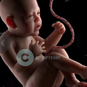 Newborn Sculpture Baby Malu Girl With COA In Any Size