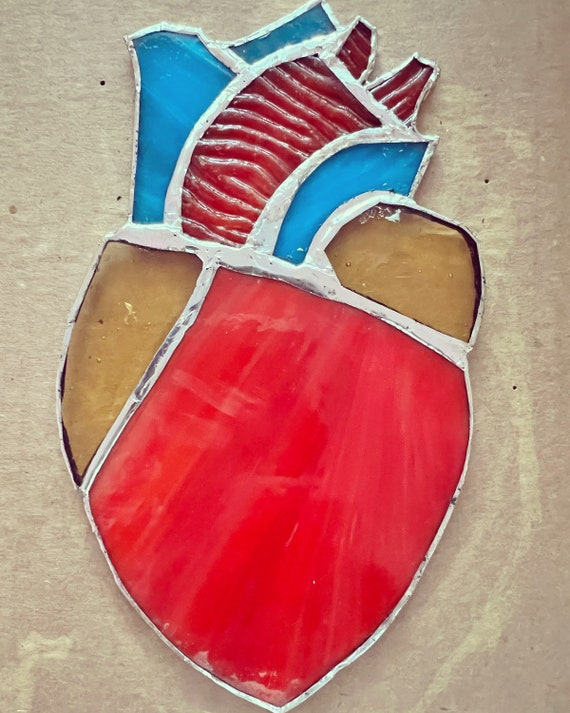 Stained Glass Anatomical Heart - Etsy