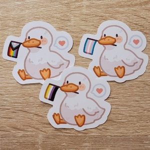 Pride Duck Stickers