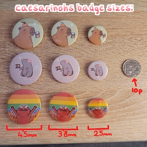 Peut inclure: Un ensemble de 10 badges diff&eacute;rents avec divers motifs, dont un capybara, une souris et un personnage rouge. Les badges mesurent 4,5 cm, 3,8 cm et 2,5 cm de diam&egrave;tre. Le texte "caesarinohs badge sizes" est &eacute;crit en haut de l'image.