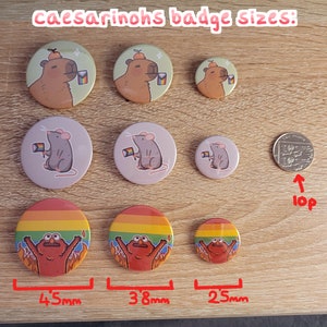 May include: A selection of round badges featuring cartoon designs: a capybara, a mouse, and a red character with flames, each with a rainbow flag. The badges vary in size, with the largest being 45mm in diameter. The text "caesarinochs badge sizes" is visible.
