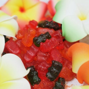8oz. Li Hing Mui Gummy Bears