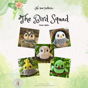 May include: A digital download pattern for crocheting a set of five bird amigurumi toys. The pattern is titled "The Bird Squad - Team Alpha". The image shows five crocheted birds: a gray owl, a white owl, a brown owl, a yellow and gray bird, and a green bird.