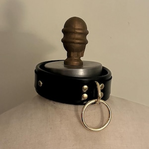 May include: A black leather collar with a gold-colored ring and hardware. The collar is secured with gold-colored rivets. A brown, decorative element sits above the collar.