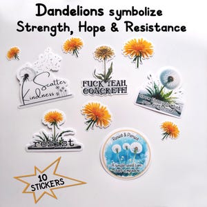 Pegatinas de diente de león, pegatinas troqueladas, paquete de 10, esperanza, estímulo, resistencia, resiliencia, regalo para un amigo, naturaleza, pegatina para computadora portátil, difundir amabilidad