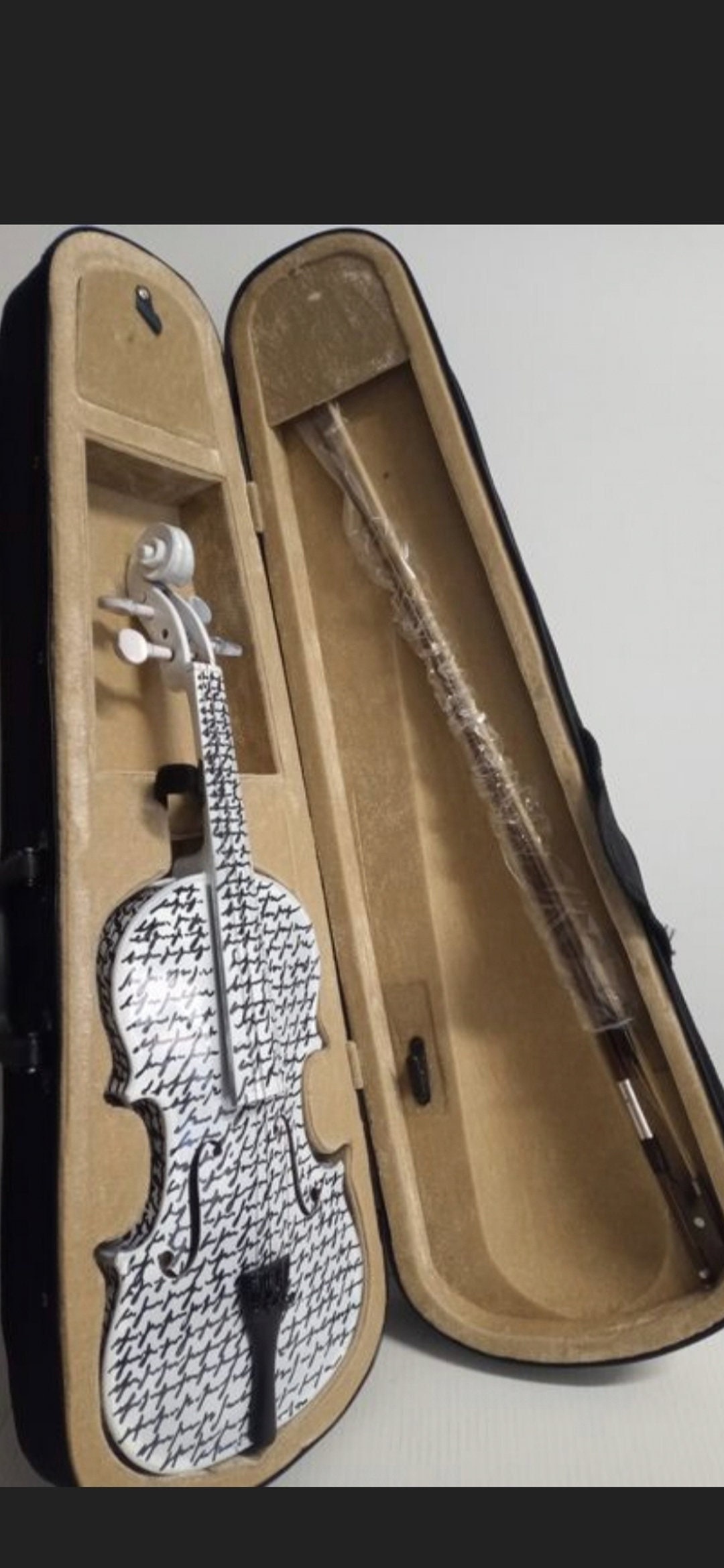 Violon Alfredo Rapetti