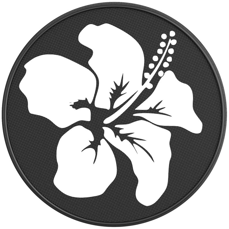 May include: A white hibiscus flower with a black background. The flower is stylized and has a simple design.