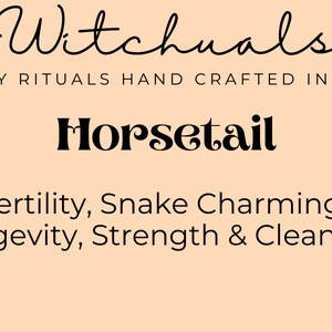 Horsetail