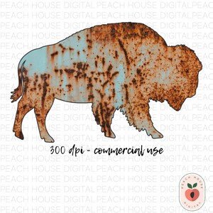 May include: A rusty metal bison silhouette with a distressed, weathered appearance. The bison is colored with shades of brown, orange, and blue, and the text "300 dpi - commercial use" is below the bison.