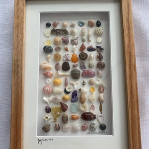 May include: A framed display of 101 collectable seashells, arranged in a grid pattern. The shells are various colours, shapes, and sizes. The frame is made of wood and has a white mount. The text "Inspirations" is written in the bottom left corner and "101 collectables" is written in the bottom right corner.