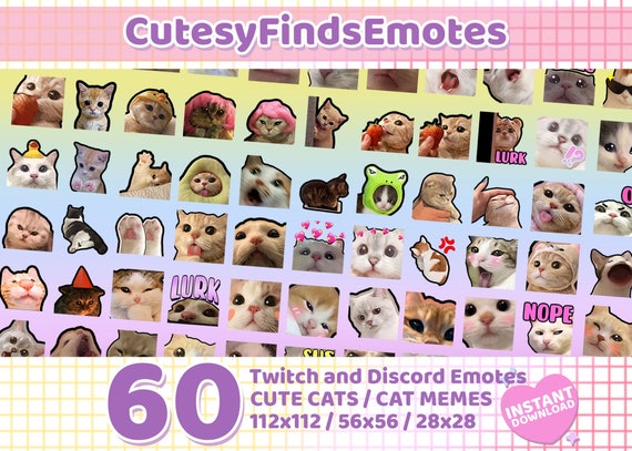 Discord Cat Emote / Emote Set Set of 3 Discord Emojis / Funny