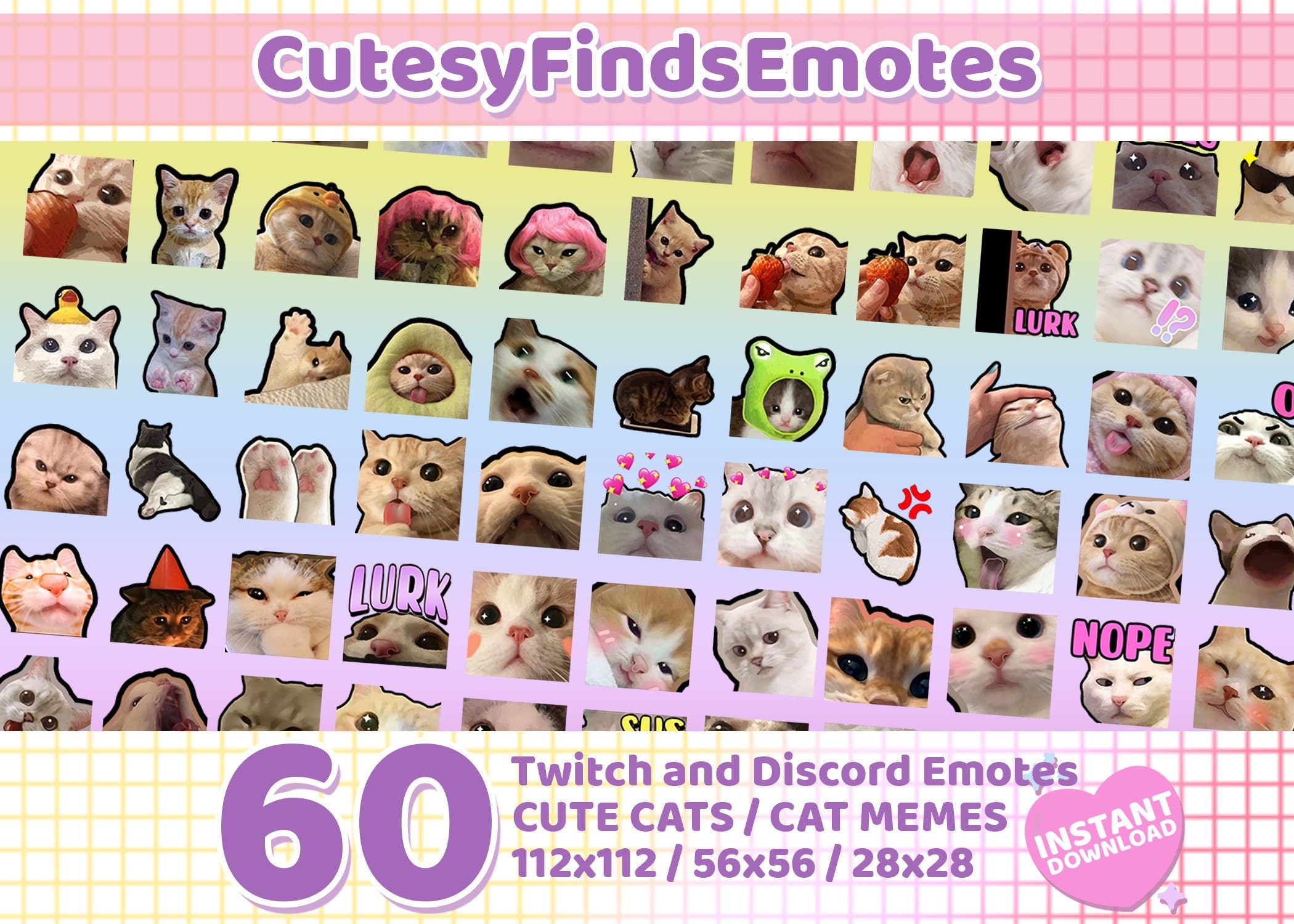 60 Pfp ideas  cute cats, cat memes, funny animals