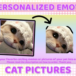 CUSTOM Cats Pics/Memes - Twitch and Discord Emotes Personalized Cats/Dogs Memes Pictures Pets | Customized Request Emote, Personalized