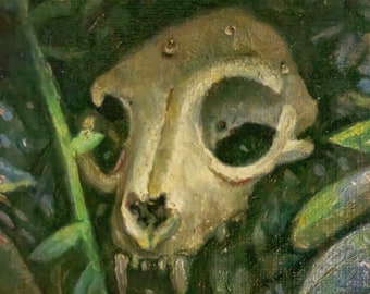 Original Cat Skull Oil Painting, Small Art