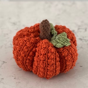 Crochet Decorative Pumpkin | Fall Decoration | Pumpkin Decoration | Fall Decor | Crochet Plushie | Crochet | Housewarming Gift |Holiday Gift