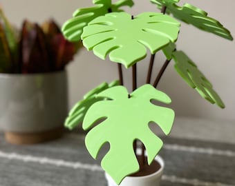Monstera Plant Coaster Set | 3D Printed House Plant