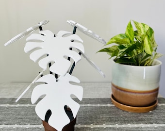 Monstera Plant Coaster Set | 3D Printed House Plant