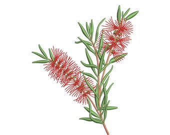 Australian Callistemon Embroidery Design | Bottlebrush Machine Embroidery Design Pattern | Callistemon Embroidery Design DST PES Format