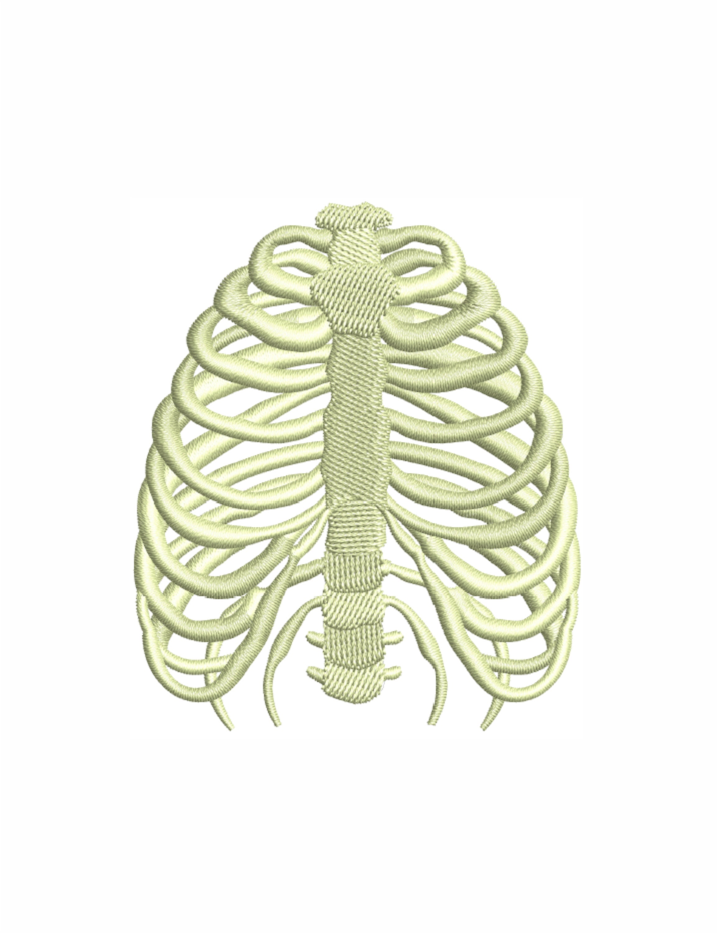 Human Skeleton Chest Embroidery Design | Skeloton Dst File | Human ...