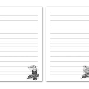 20 articoli di cancelleria per lettere / Disegni di schizzi di uccelli / Download digitale / Carta stampabile