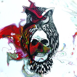 May include: Tarot card depicting Death, the 13th card in the Major Arcana. The card features a black and white illustration of an owl with a skull in its beak, set against a colorful abstract background. The card number, XIII, and the word "Death" are printed in black at the top of the card.
