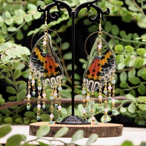 Madagascan Sunset Moth (chrysiridia rhipheus) Earrings, sustainably/ethically sourced, real butterfly wing earrings