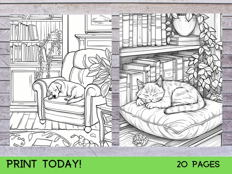 May include: A black and white coloring page featuring a dog sleeping in a chair and a cat sleeping on a pillow. The dog is in a living room with a bookshelf and a plant. The cat is in a room with a bookshelf and a plant.