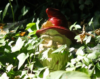 Hidden Gnome