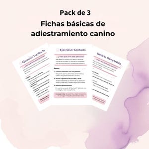 Puede incluir: Tres fichas de entrenamiento canino en español. Las tarjetas blancas con detalles rosas, presentan ejercicios como "Sentado", "Tumbado" y "Dame la Pata". El texto es claro y en negrita para facilitar la lectura.