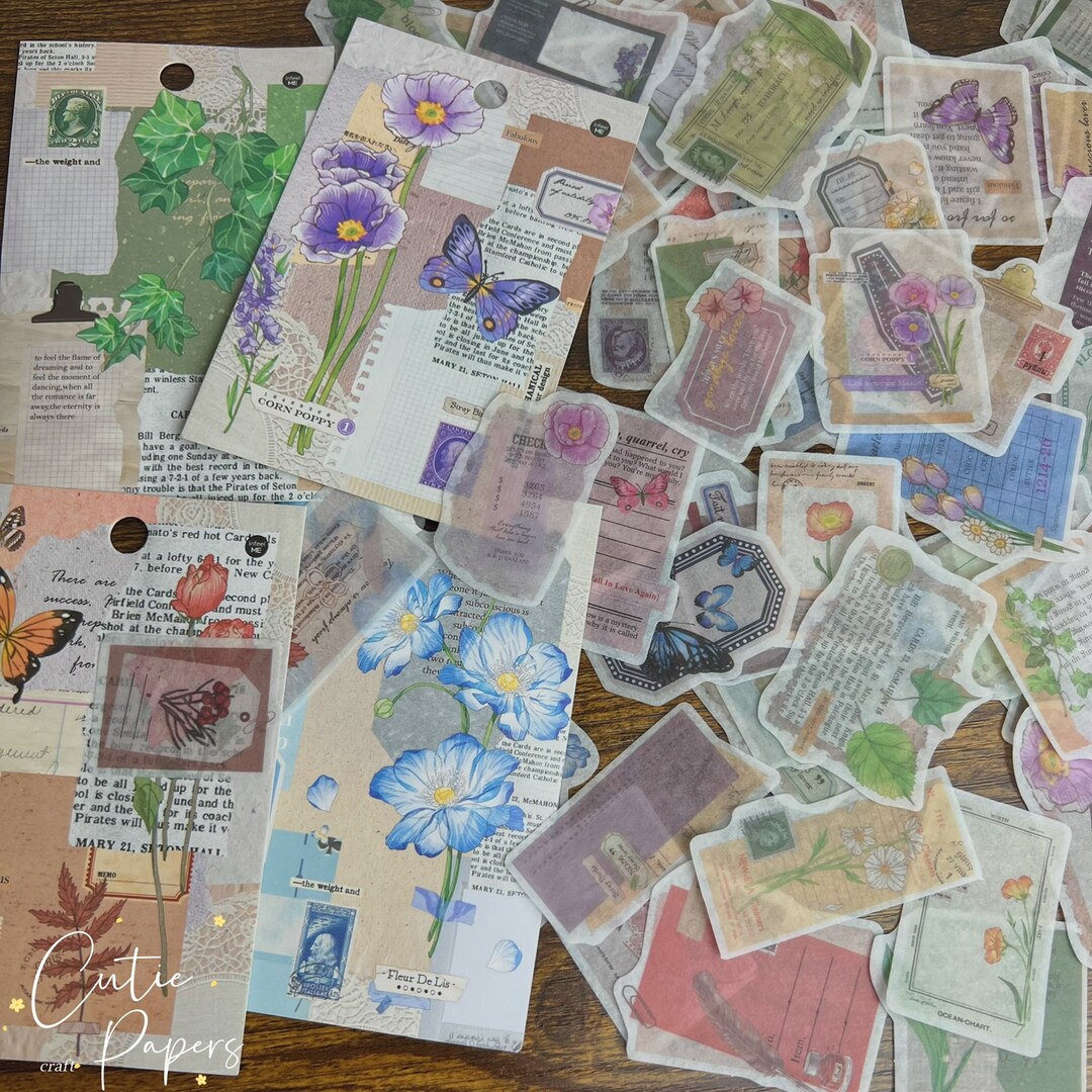 30pc Vellum Stickers, Scrapbook Stickers, Aesthetic Vellum Stickers ...