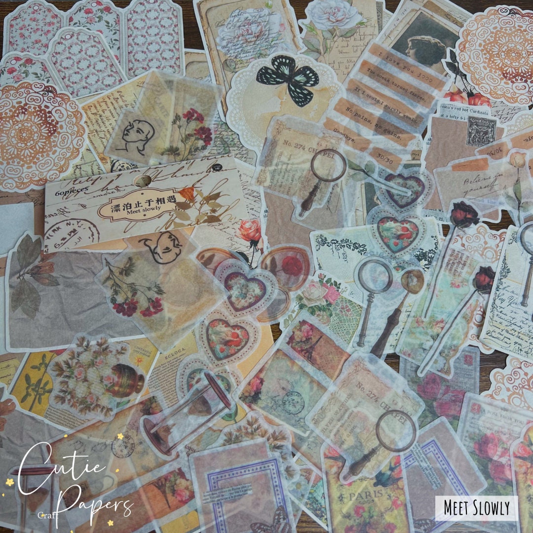60pc Vellum Scrapbooking Papers and Sticker Ephemeral Papers Etsy