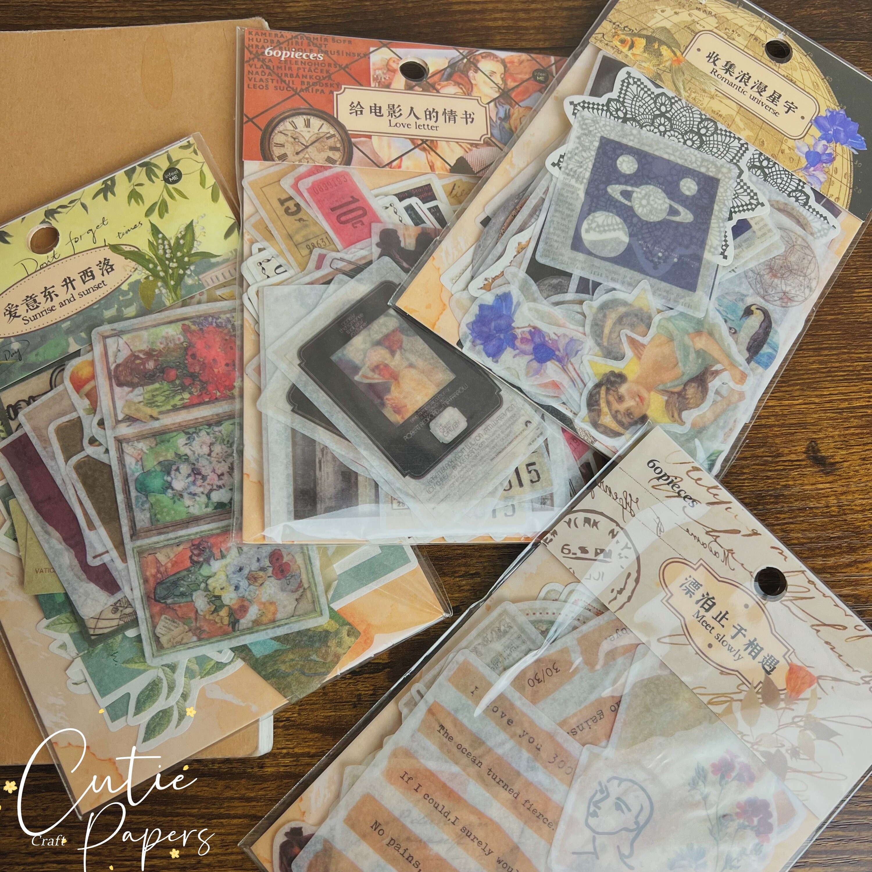 60pc Vellum Scrapbooking Papers and Sticker Ephemeral Papers Etsy