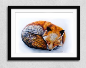 SLEEPY FOX ART PRINT A4 / Hand-drawn motif with cute fox / colored pencil drawing / drawing to hang