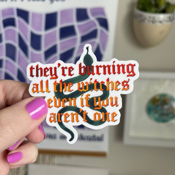 They're burning all the witches sticker, I Did Something Bad rep era, Taylor Swift reputation waterproof water bottle laptop sticker